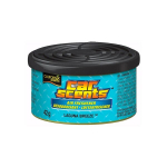 D&eacute;sodorisant - California Scents - Laguna Breeze - 42 grammi - Auto - Sinine teras