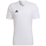 Meeste T-s&auml;rk Adidas Entrada 22 Jersey, valge