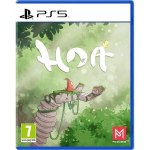 Arvutim&auml;ng M&auml;ng Hoa, Playstation 5