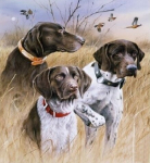 Voodikate - pleed KW-109, beež, 160 x 210 cm