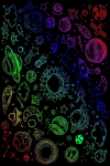 Asir vaip HMNT487 100x200 cm