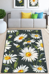 Asiri vaip Margarita Djt 80x200 cm