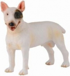 Bullterrier koer - Collecta