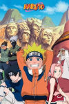 Plakat Naruto Heroes 61x91,5 cm