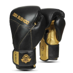 Poksikindad Dbx Bushido B-2v14 12 oz