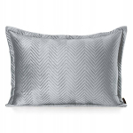Velvetist padjakate 50x70 cm h&otilde;behall tepitud &ndash; SOFIA