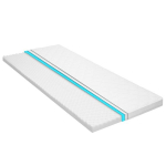 vidaXL pealismadrats 100 x 200 cm k&uuml;lmvaht munaprofiil 6 cm