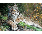 Pildid straazidega teemantmosaiiktehnikas Collection D'Art 48х38 cm, DE7146