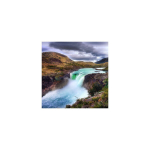 Reproduktsioon Kosk