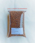 &Otilde;lir&otilde;ika seemned, 1 kg