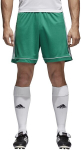 L&uuml;hikesed jalgpallip&uuml;ksid Adidas Squad 17 Shorts Green, M