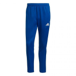 Meeste dressip&uuml;ksid Adidas Tiro 21 Training M GJ9870, sinine
