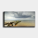 Reproduktsioon Luiged