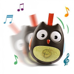 Jonnipunn riputusaasaga, &Ouml;&ouml;kull