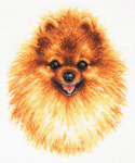 Tikkimiskomplekt Magic Needle "Pomeranian" 59-22