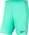 Meeste l&uuml;hikesed p&uuml;ksid Nike Dry Park III NB K mint BV6855 354