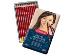 Pastellpliiats Derwent 12tk nahatoonid metallkarbis