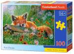 Pusle Castorland, 100 tk, Foxy Dreams