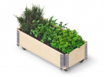 Ratastega lillekast Herbs Box, 800 x 400 x 195 mm