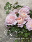 Vintage Roses: Beautiful varieties for home and garden