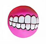 Koera m&auml;nguasi Pall