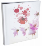 Fotoalbum Assort BD100PG