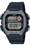 Meeste k&auml;ekell Casio DW-291H-1AVDF karbiga, must