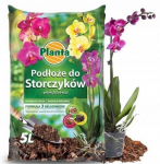 Orhidee mulla substraat Planta, 5 l