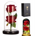 ETERNAL DOUBLE roos klaasist helendav LED kingitus, ETERNAL DOUBLE rose in glass luminous LED GIFT