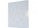 Vayalt LED taimelamp B600