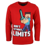 Minecraft laste pikkade varrukatega t-s&auml;rk