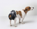 M&auml;hkmed koertele Savic Nappy T2, 34-34 cm, 12 tk.