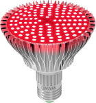 QIANYAN A-1 Taimelamp