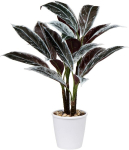 Briful 63CM suur kunstlik taim Cordyline Fruticosa valge potti