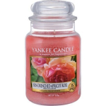 L&otilde;hnak&uuml;&uuml;nal Yankee Candle Sun-Drenched Apricot Rosei 623 g