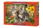 Pusle Puzzle Castorland, "KITTEN BUDDIES" 1500-osaline