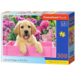 Puzzle 300 Labrador Puppy in Pink Box 030071