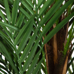 Tehis-palmitaim Homla Tropical Zone