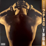 Vinila plate 2Pac - The Best Of 2Pac - Part 1: Thug