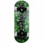 Professionaalne Eastwood Fingerboard Pro puidust komplekt, laagritega rattad