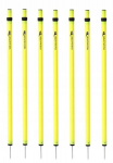 Treening- ja slaalomivarras 170cm - teleskoopiline, kokkupandav varras - 7 tk