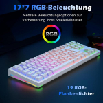 Tecurs mehaaniline klaviatuur - juhtmevaba programmeeritav m&auml;nguriklaviatuur 80% Tkl Qwertz punaste l&uuml;lititega, Rgb valgustus, multimeediaklahvid, mehaaniline klaviatuur Pc/ps4/ps5 jaoks, valge