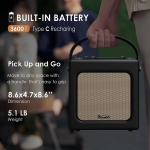 Retro kaasaskantav bluetooth k&otilde;lar boombox nahast v&auml;limusega korpuses akuga, 20 W kompaktne karaoke s&uuml;steem Usb, Aux-in, 6.5 mm mikrofoni &uuml;hendusega, Type-c laadimine