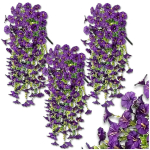 Kunstlik lill Garland, lilla, 3 tk.