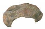 Trixie koob voor reptiel (Dimensie: 30 x 10)