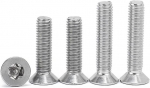 Bozonli s&uuml;vistatud peaga kruvid torx m6 - tx s&uuml;vistatud peaga kruvid masinkruvid roostevabast terasest turva vargusvastane kruvi m6 x 14 mm, 10 tk