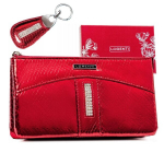 Naised nahast rahakott strassidega + v&otilde;tmehoidja LORENTI