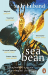 Sea Bean, Sea Bean