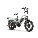 Elektriline jalgratas JOBOBIKE Transer 20", valge