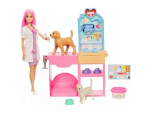Nukukomplekt lisadega Barbie Fast Cast Pet Vet Clinic